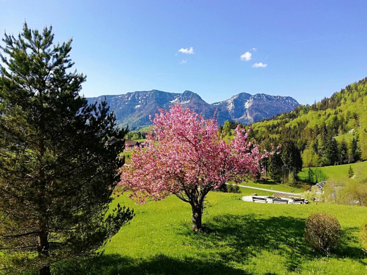 Hotel Heissenhof Inzell Exterior photo